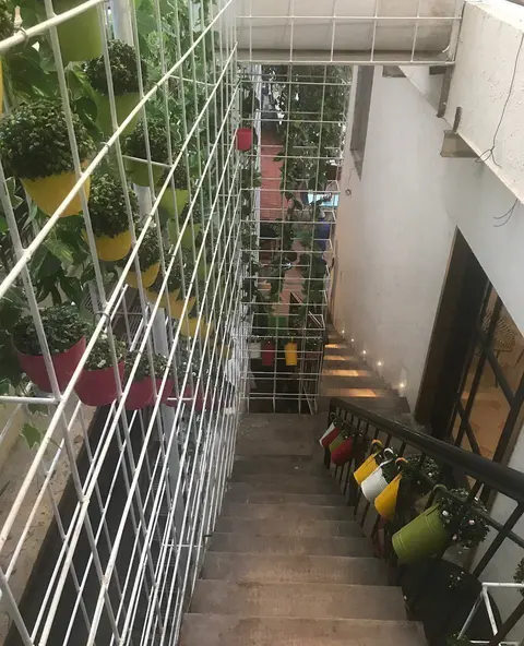 Tea Villa photo 4